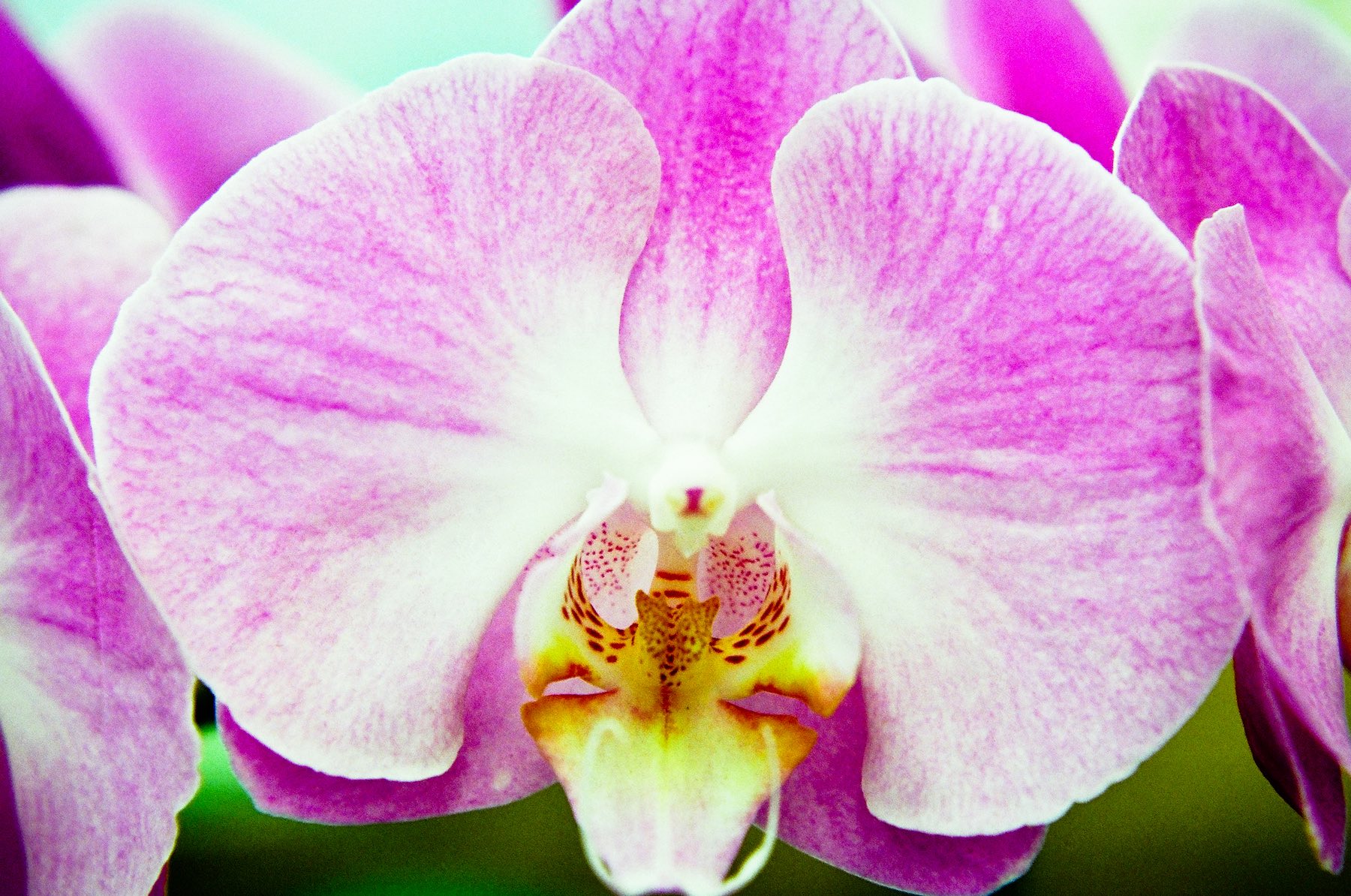 Around the World: Brasil