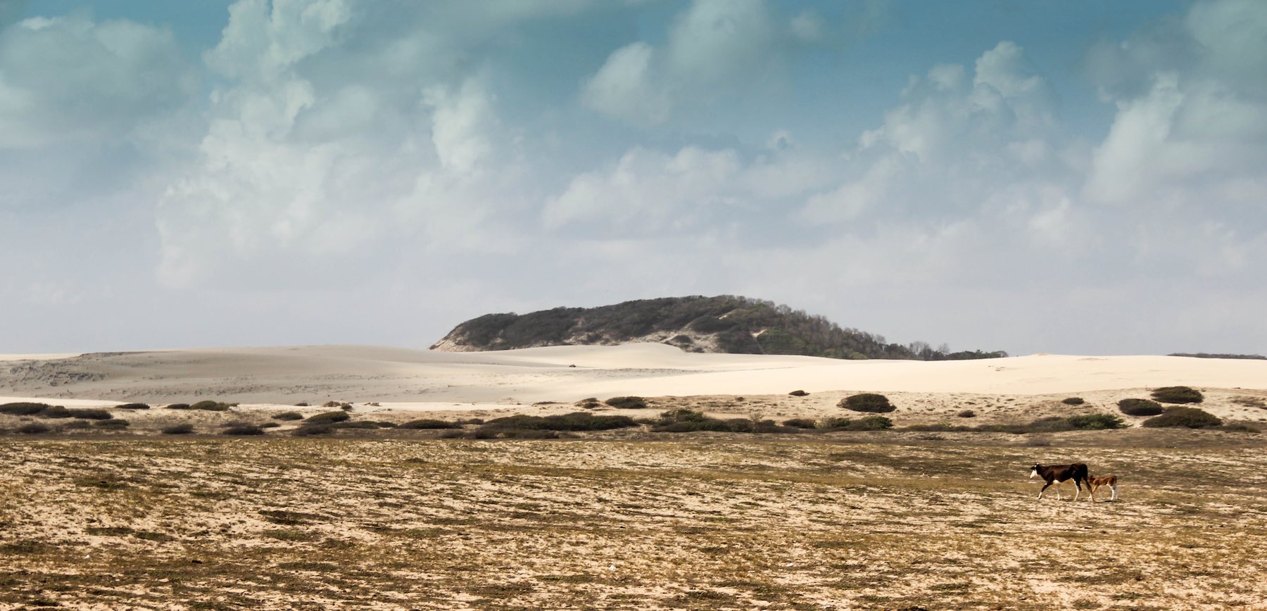 Around the World: Brasil