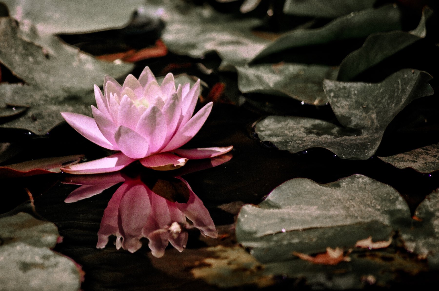 Around the World: España